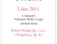 Najlepsze Płytki i Cegły od Lidera 2011 - firmy Röben